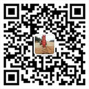 泰安高新區(qū)東方苗木有限公司